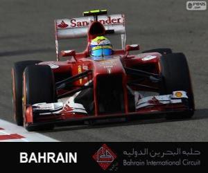 Puzzle Felipe Massa - Ferrari - Μπαχρέιν διεθνές κύκλωμα 2013